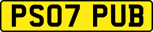 PS07PUB