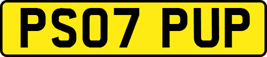 PS07PUP