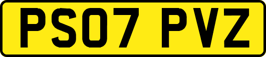 PS07PVZ