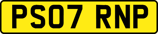 PS07RNP
