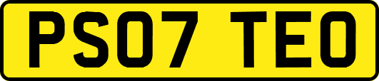 PS07TEO