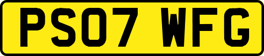 PS07WFG