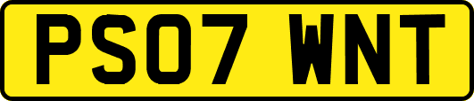 PS07WNT