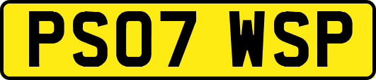 PS07WSP