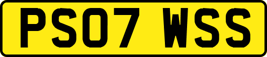 PS07WSS