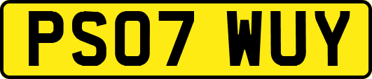 PS07WUY