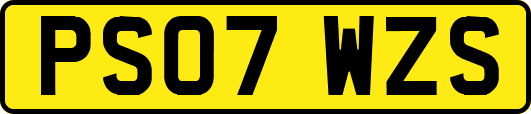 PS07WZS