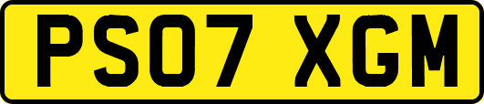 PS07XGM