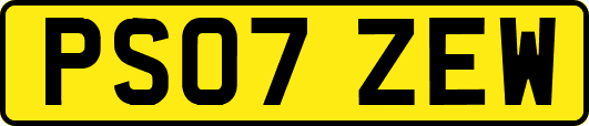 PS07ZEW