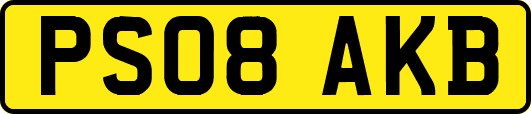 PS08AKB