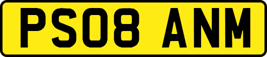 PS08ANM