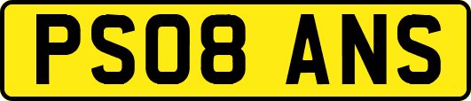 PS08ANS
