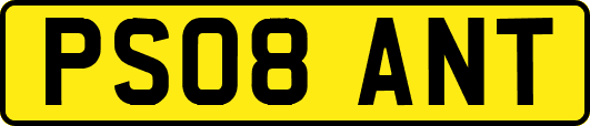 PS08ANT