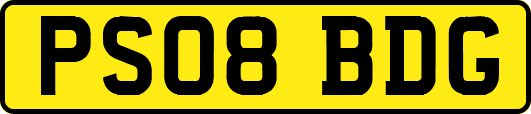 PS08BDG