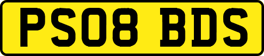 PS08BDS