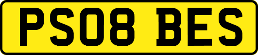 PS08BES