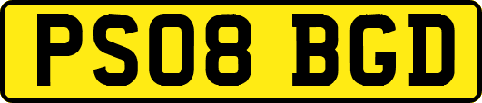 PS08BGD