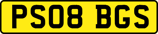 PS08BGS