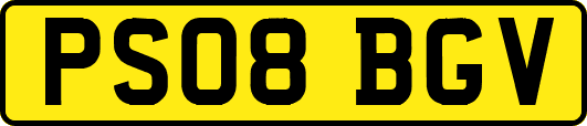 PS08BGV