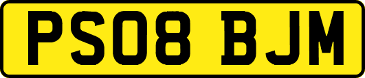 PS08BJM