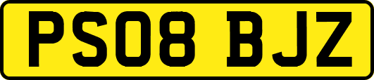 PS08BJZ