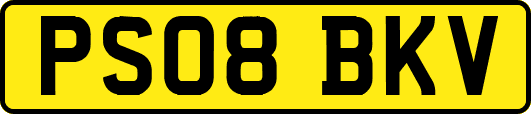 PS08BKV