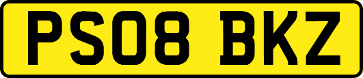 PS08BKZ