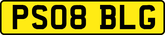 PS08BLG