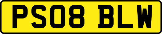 PS08BLW