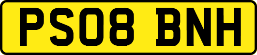 PS08BNH