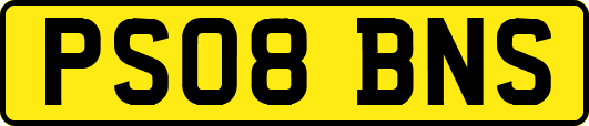 PS08BNS