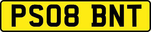 PS08BNT