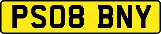 PS08BNY