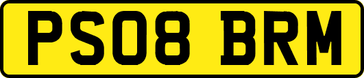 PS08BRM