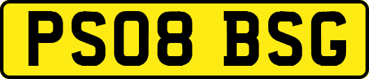 PS08BSG