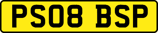PS08BSP