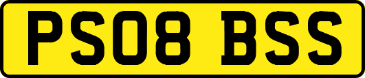 PS08BSS