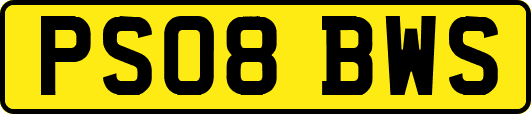 PS08BWS