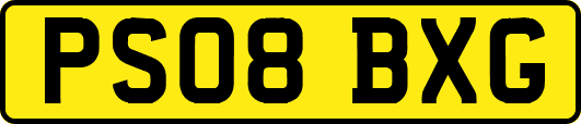 PS08BXG