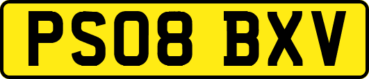 PS08BXV