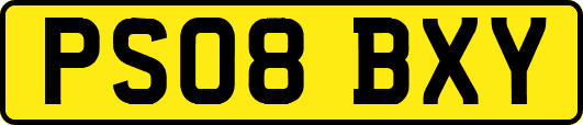 PS08BXY