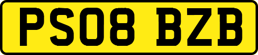 PS08BZB