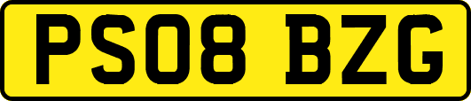 PS08BZG
