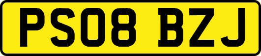 PS08BZJ