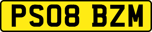PS08BZM