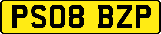 PS08BZP