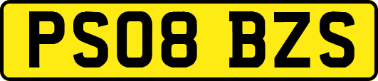 PS08BZS