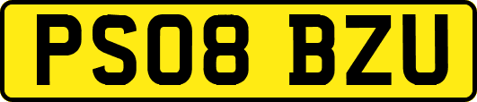 PS08BZU