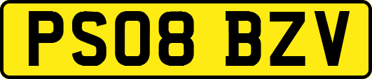 PS08BZV