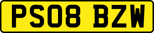 PS08BZW